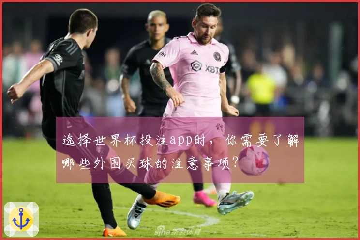 选择世界杯投注app时,你需要了解哪些外围买球的注意事项?